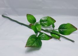 Иллюстрация Стебель розы двойной с листьями, 42 см.