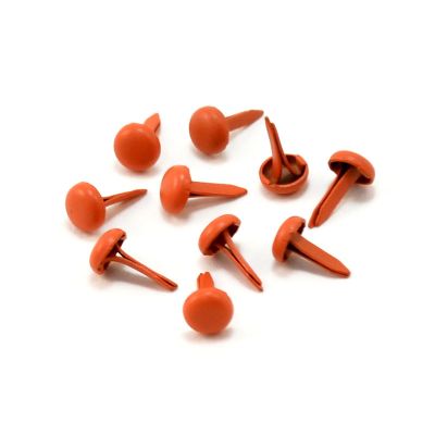 Иллюстрация Брадсы круглые, 4 мм, цвет: оранжевый