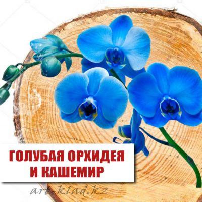 Иллюстрация Отдушка косметическая "Голубая орхидея и кашемир"